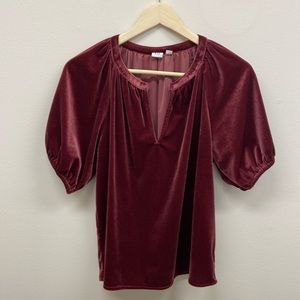 Gorgeous velvet/velour holiday top.